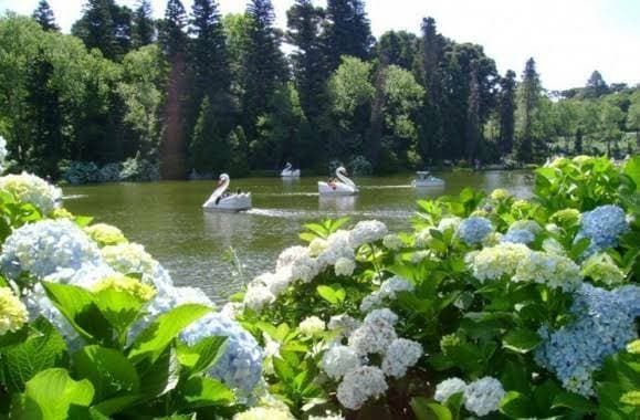 Lugar Lago negro