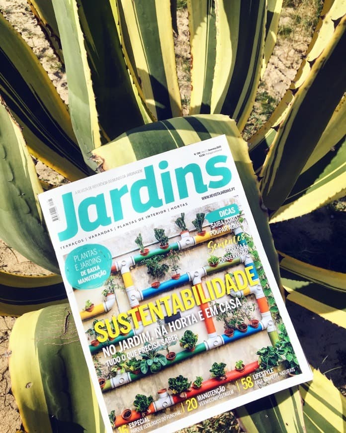 Fashion Revista Jardins - Vídeos, dicas e notícias sobre jardins, plantas e ...