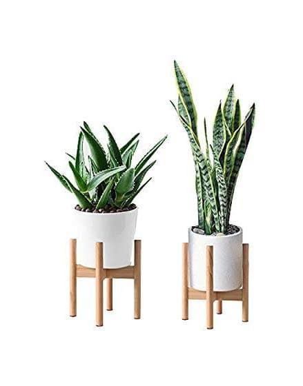 Product Suporte Plantas