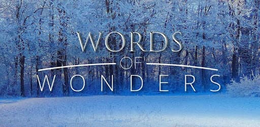 Moda Words of Wonders: Crossword to Connect Vocabulary