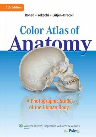 Book Melhor Atlas de Anatomia  Humana