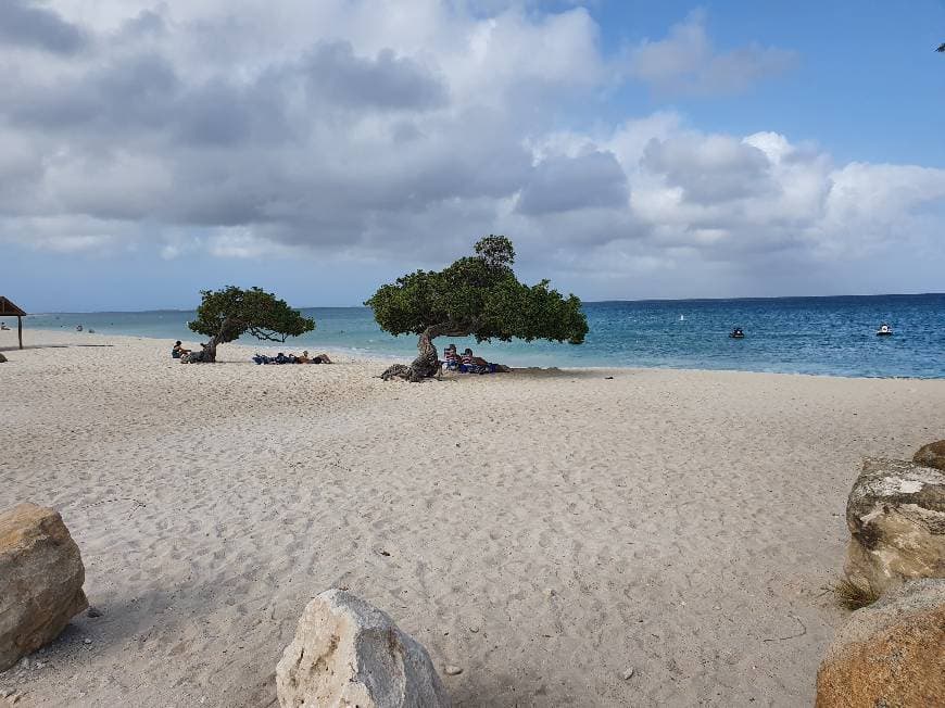 Place Eagle Beach - Aruba