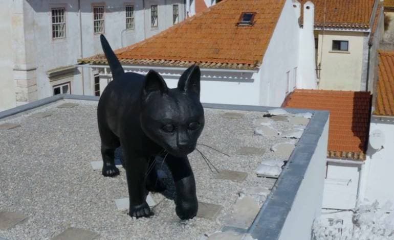 Place Escultura Gato Preto