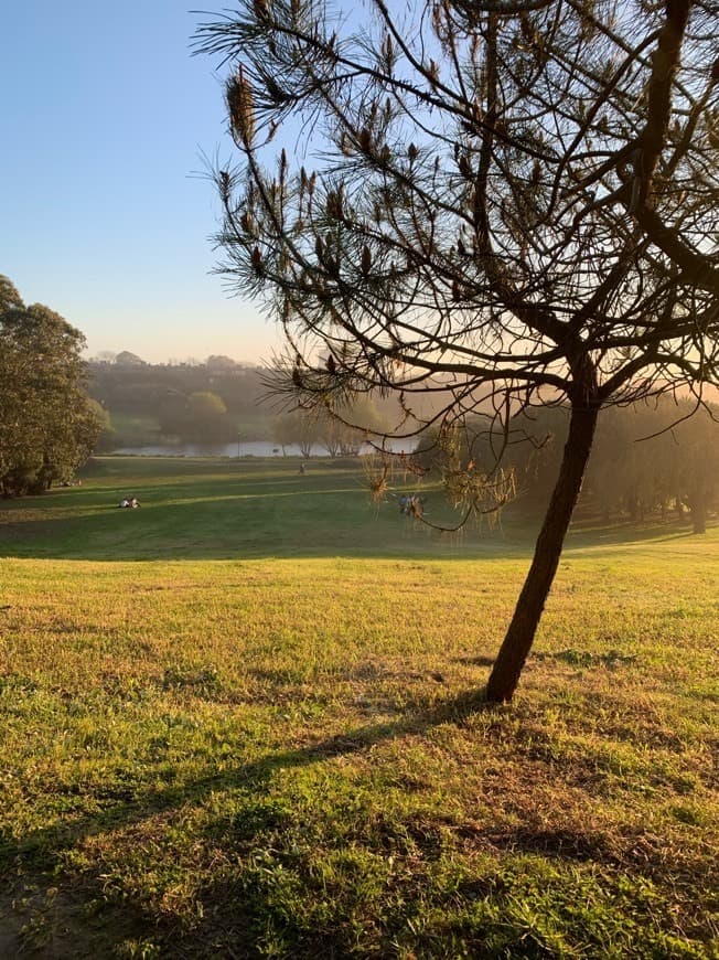 Lugar Parque da Cidade