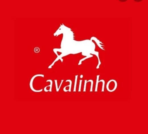 Fashion Cavalinho