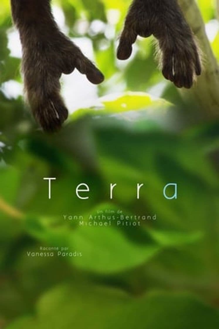 Película Terra