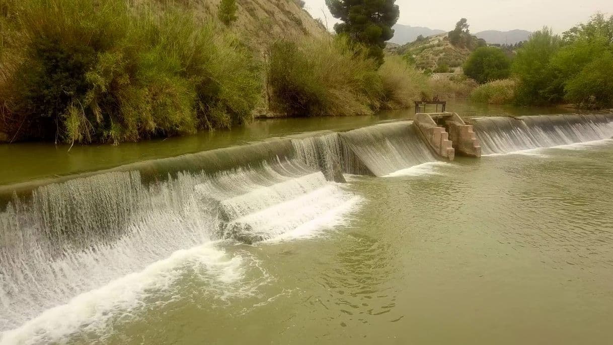 Lugar Parque Presa El Jarral