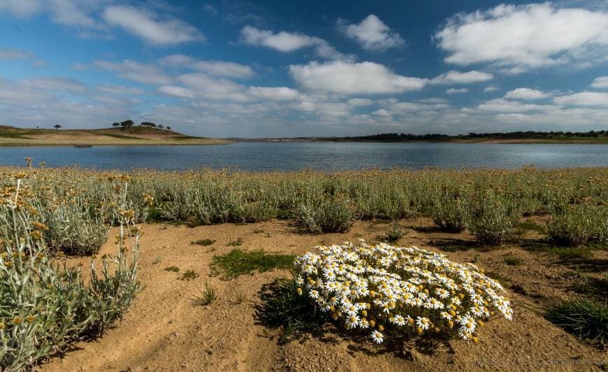 Place Albufeira da Barragem do Monte da Rocha