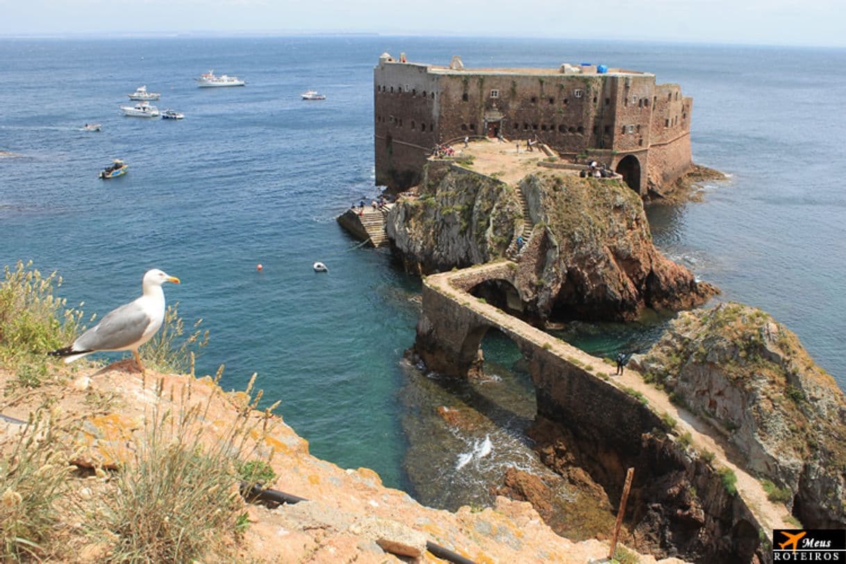 Place Berlengas