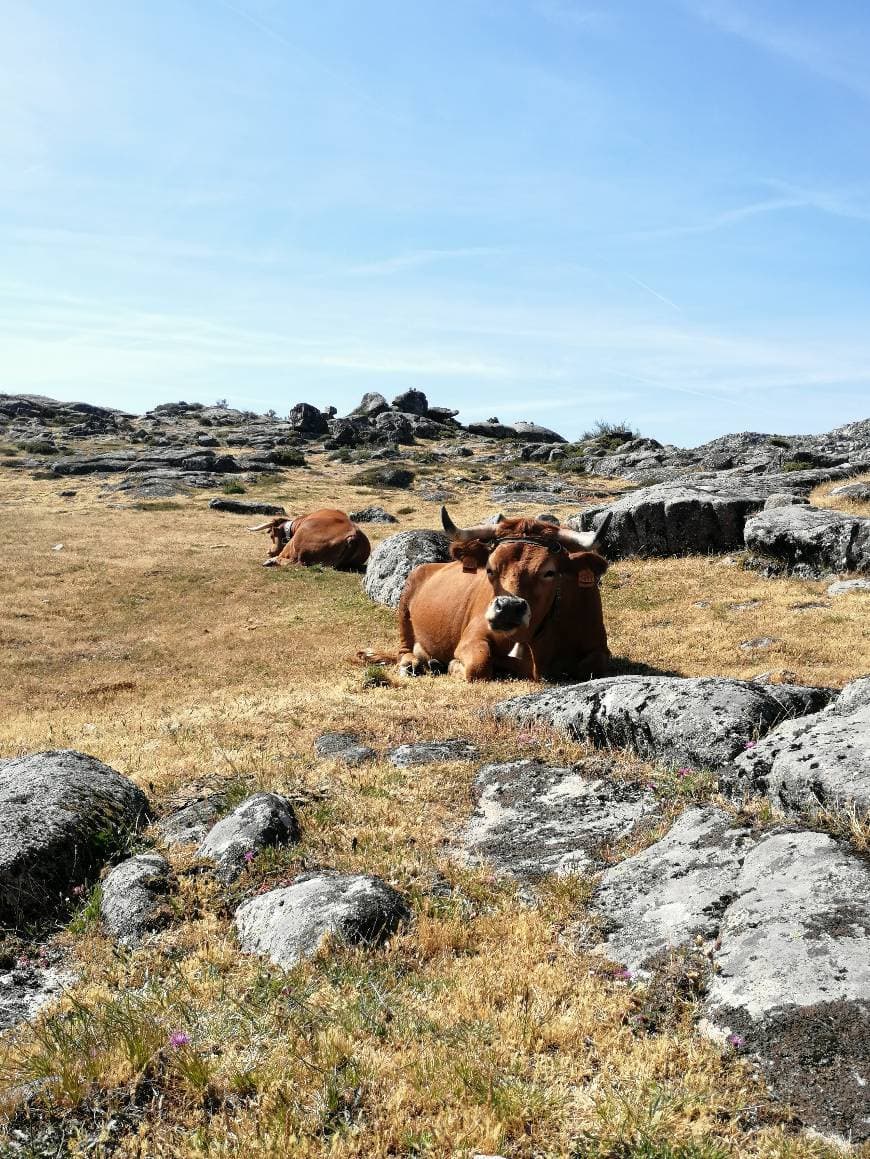 Lugar Serra da Freita