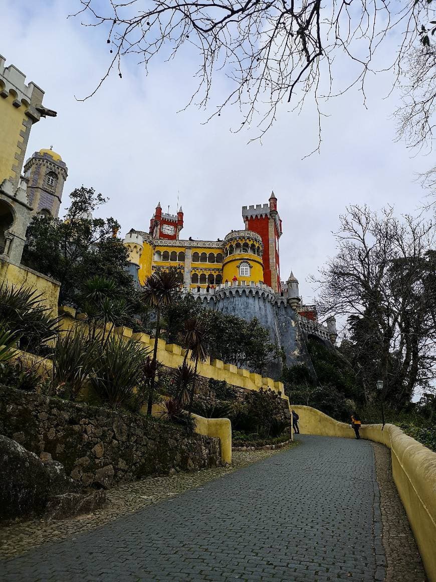 Place Palacio da Pena