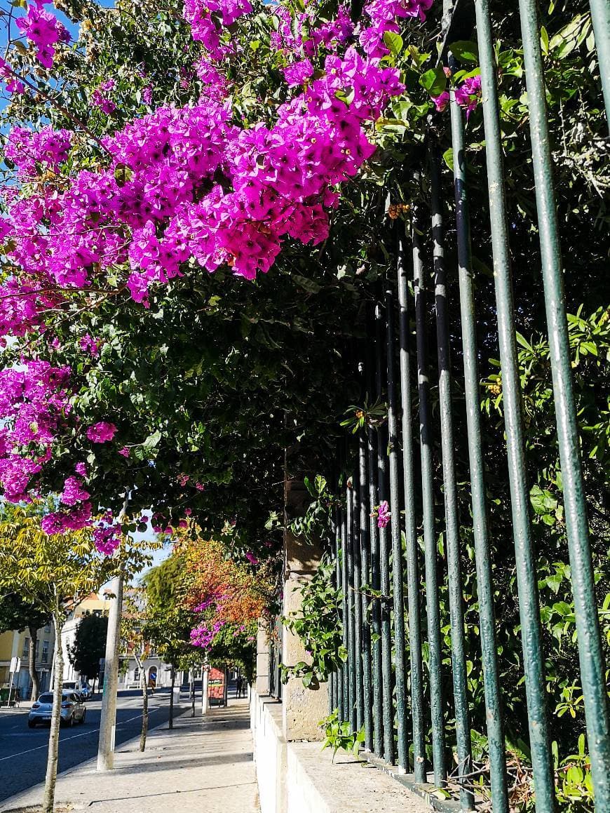 Lugar Caldas da Rainha