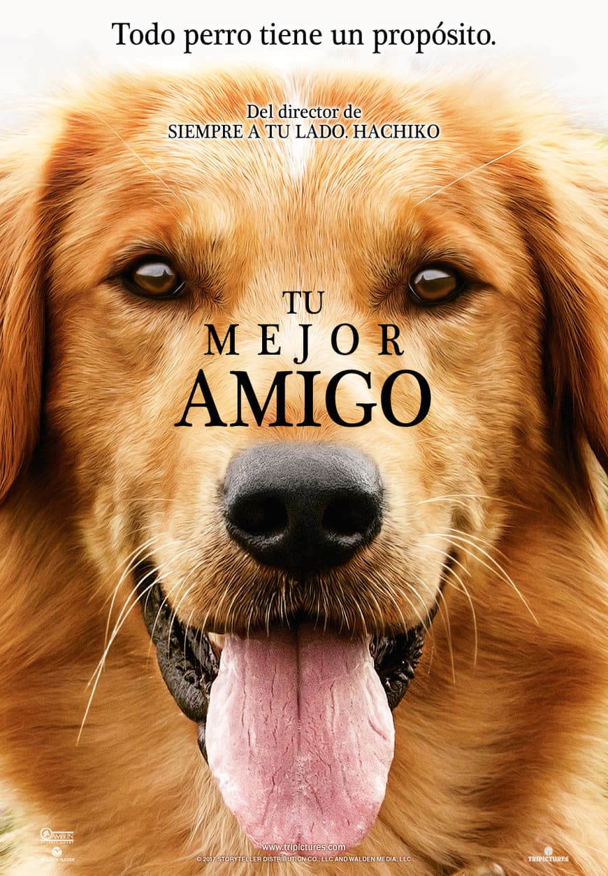 Movie A Dog's Purpose