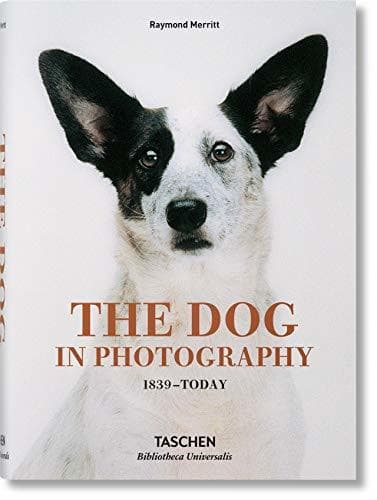 Book The Dog in Photography 1839–Today: BU