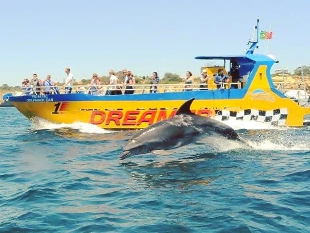 Lugar Dream Wave Algarve (Dolphin Watching, Caves, Boat Tours, Jet Ski and Power Boat)