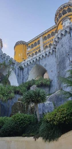 Lugar Palacio da Pena