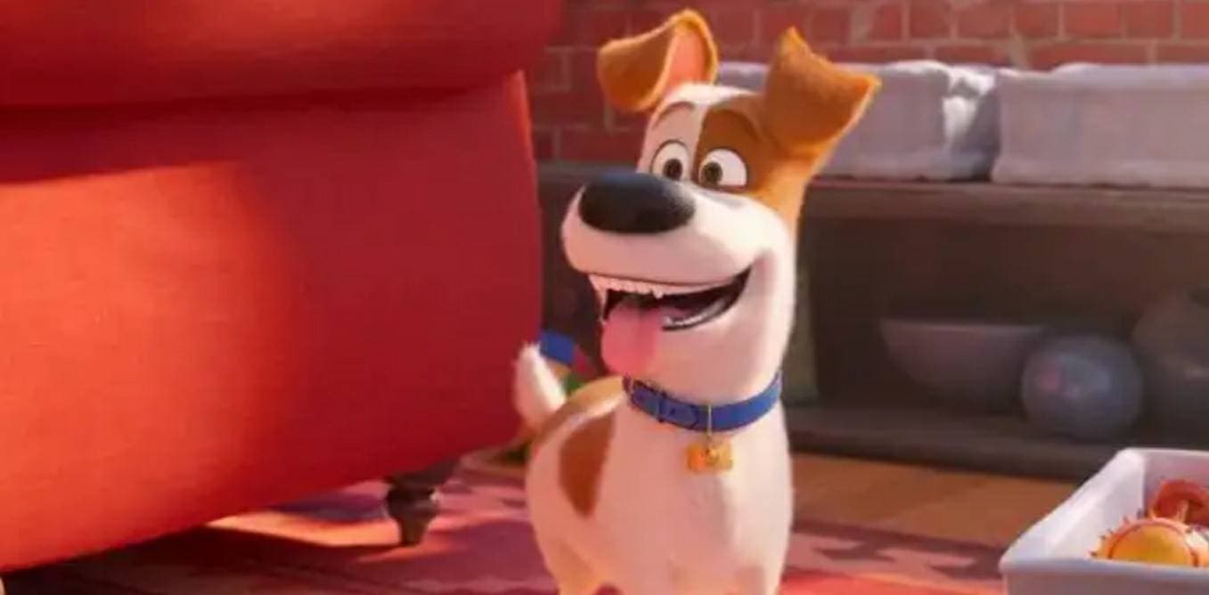 Película The Secret Life of Pets 2