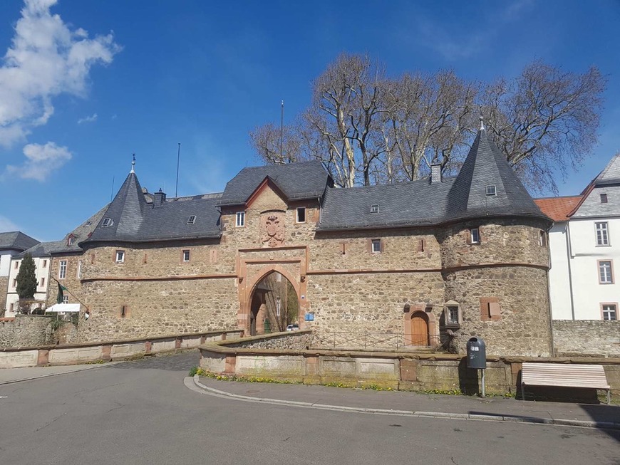 Place Burg Friedberg