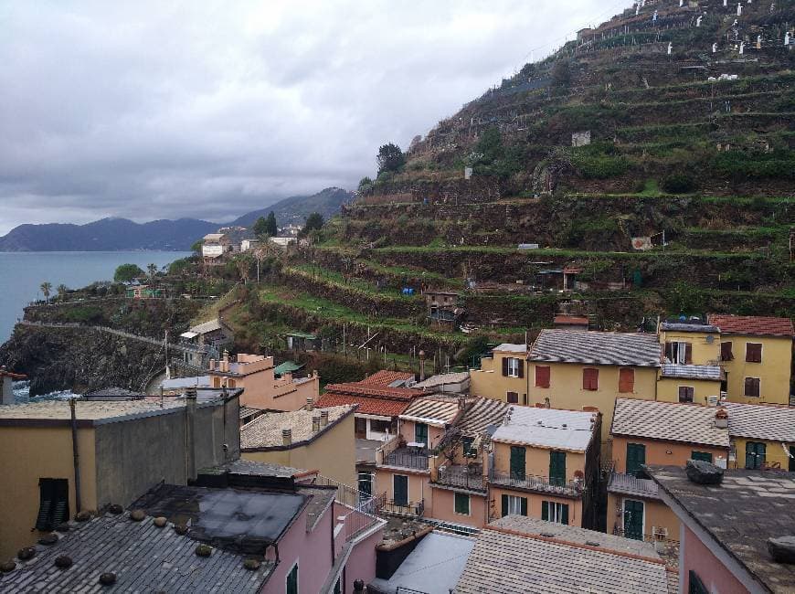 Place Manarola