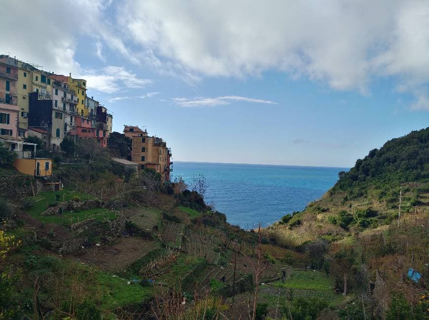 Restaurants Corniglia