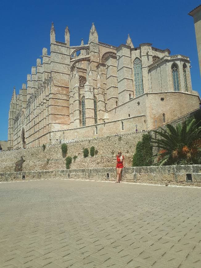 Lugar Catedral-Basílica de Santa María de Mallorca