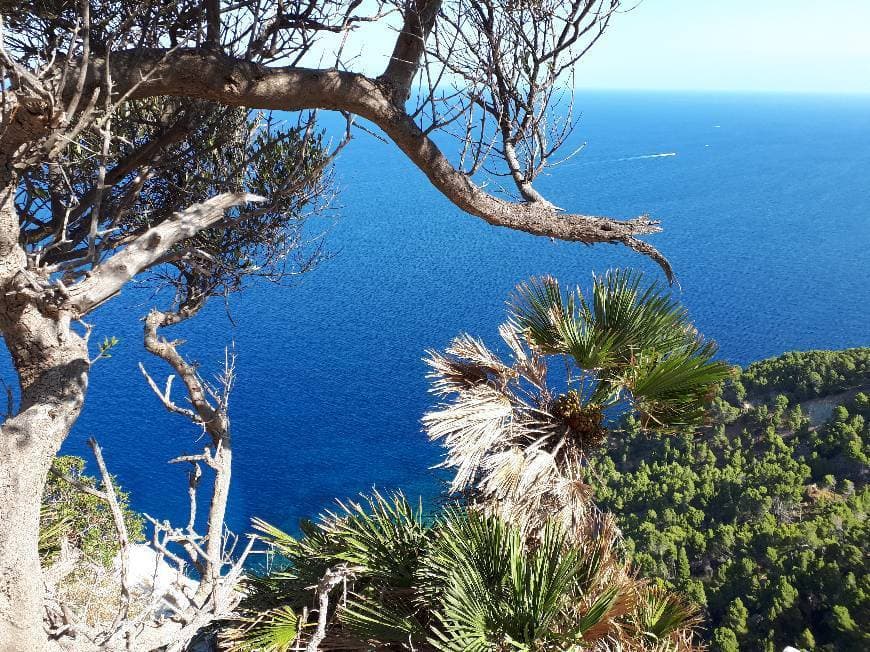 Lugar Sierra de Tramontana