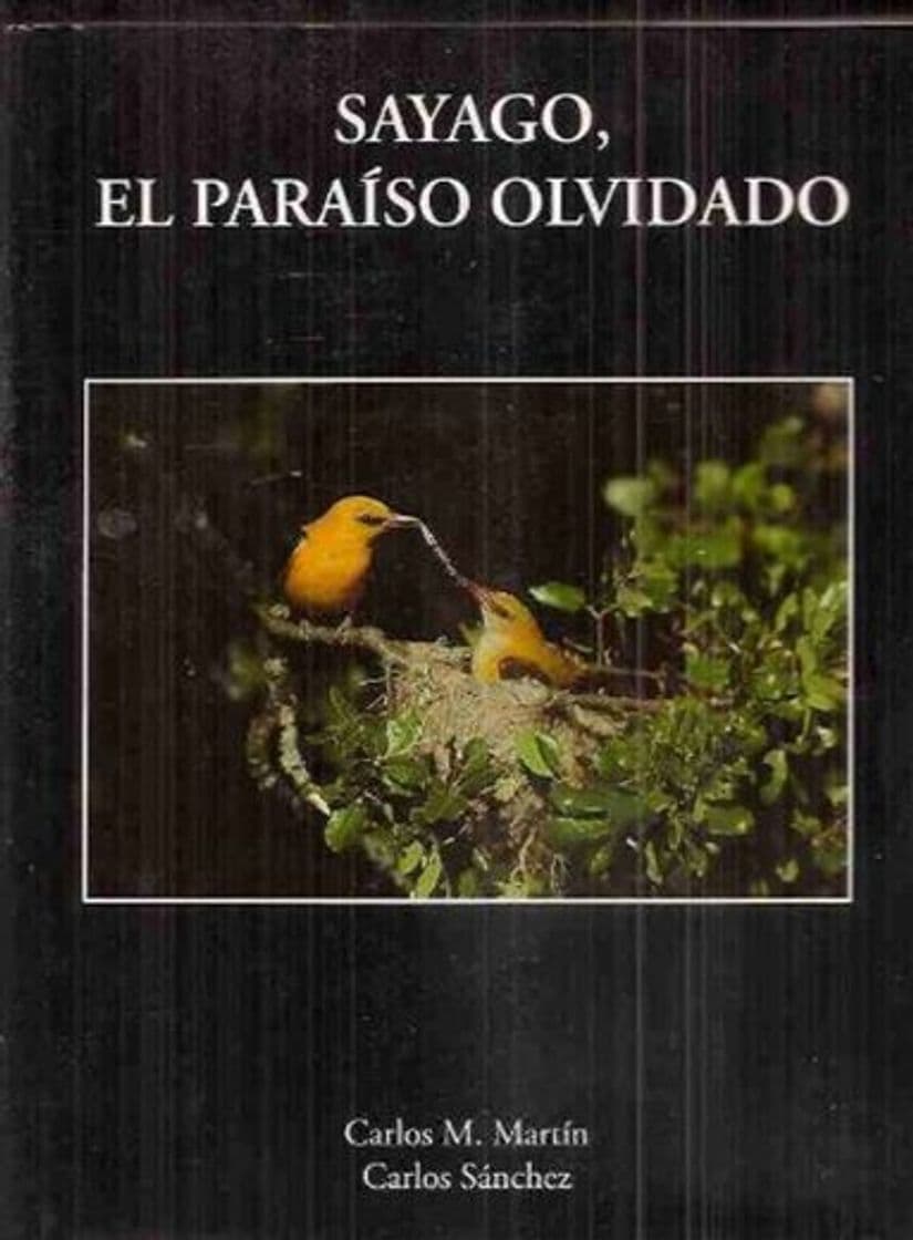 Book SAYAGO, EL PARAISO OLVIDADO