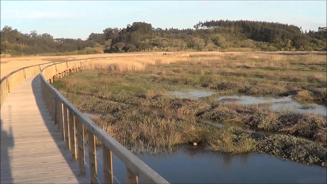 Lugar Quinta do Ega