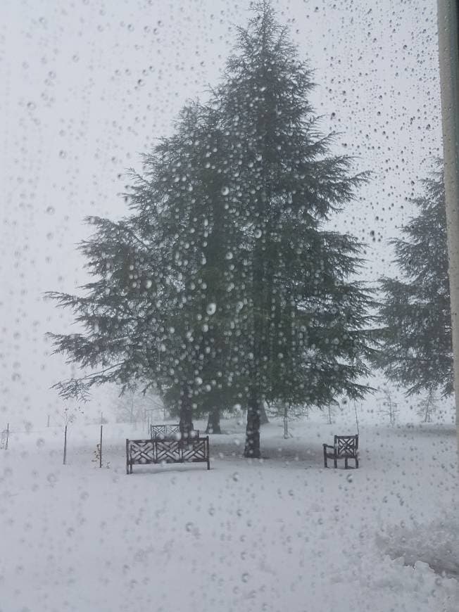 Place Pousada Serra da Estrela