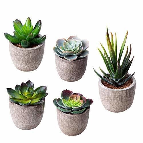 Producto HB life 5 Piezas Plantas Suculentas Artificiales Plastico Maceta Decorativas