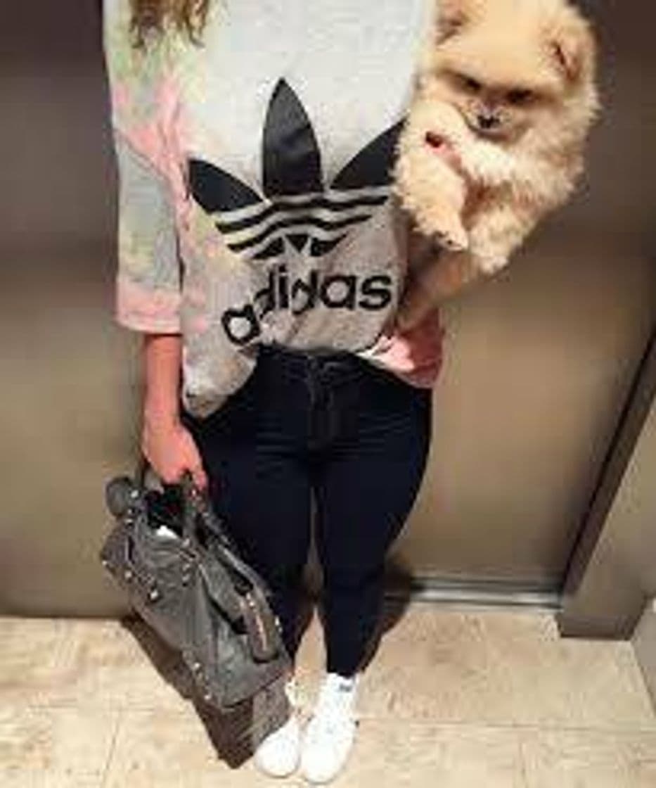 Fashion BLUSA E CALÇA ADIDAS CONJUNTO LINDO