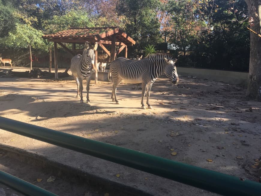 Place Jardim Zoológico de Lisboa