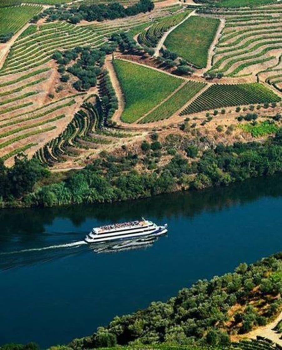 Moda Cruzeiro Porto - Régua - Porto Subida de Barco