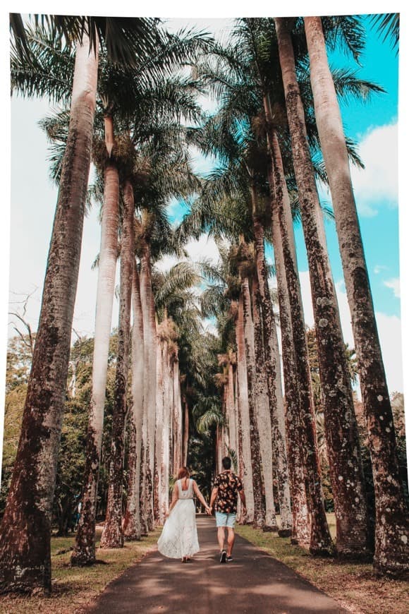 Lugar Jardín Botánico de Pamplemousses