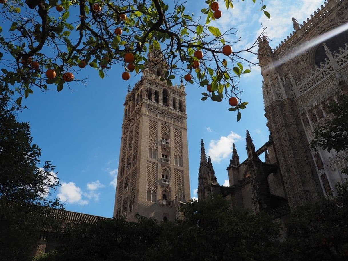 Place Catedral de Sevilla