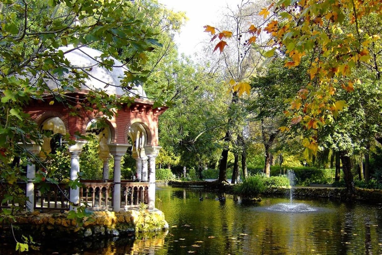 Place Parque De Maria Luisa