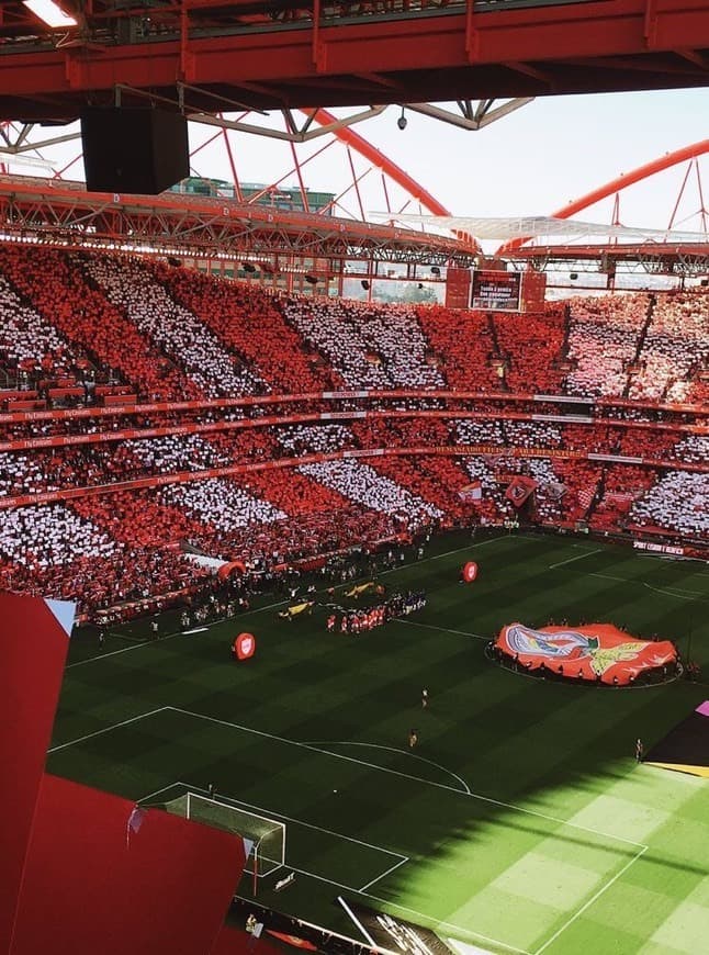 Lugar Estádio da Luz