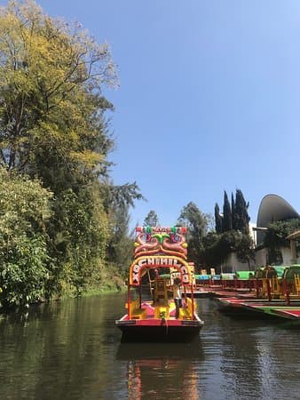 Lugar Trajineras Xochimilco Mágico