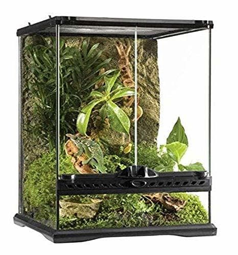 Product Exo Terra Terrario Mini Tall de 40