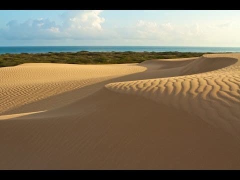 Lugar Parque Nacional Médanos De Coro