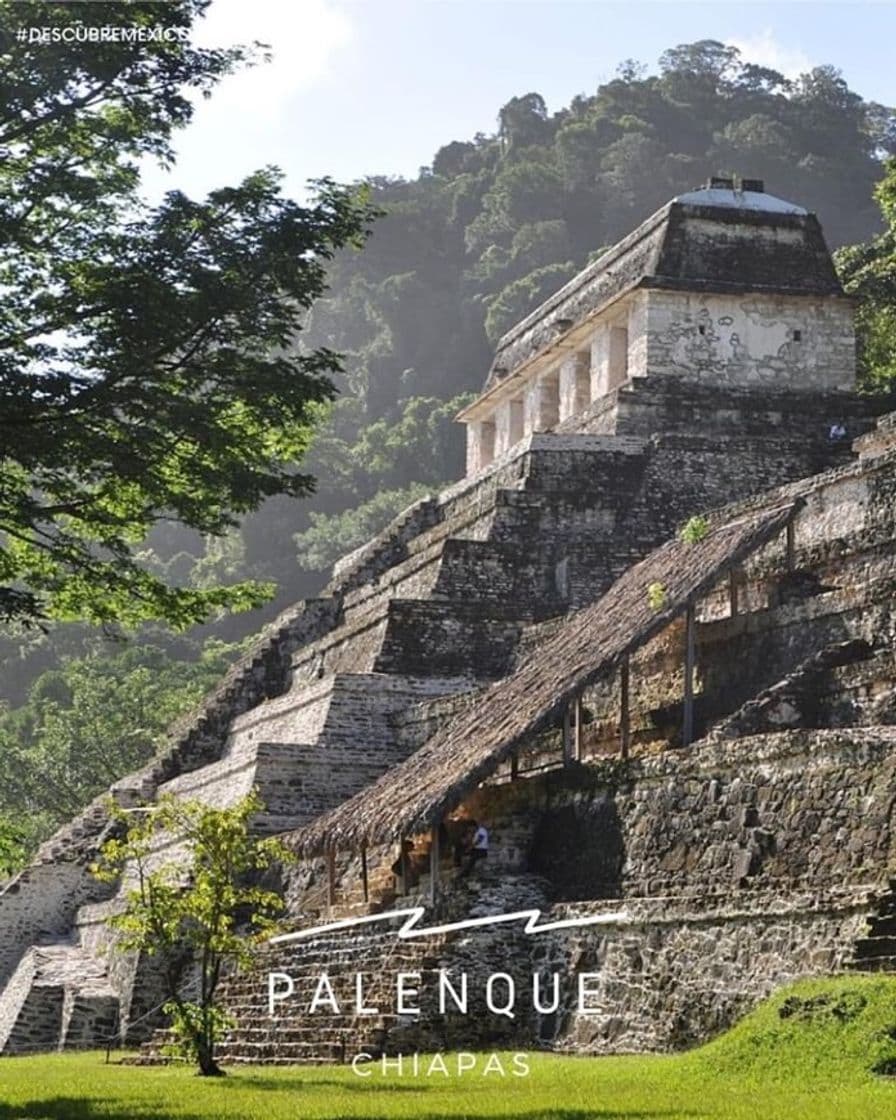 Lugar Palenque