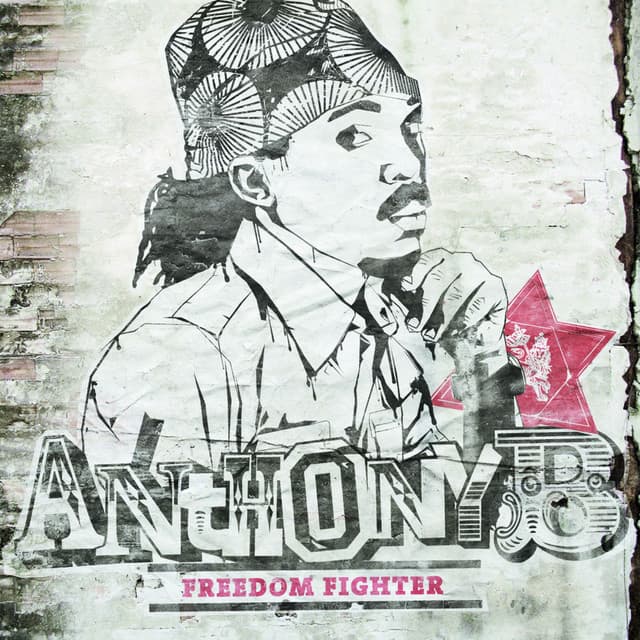 Canción Freedom Fighter