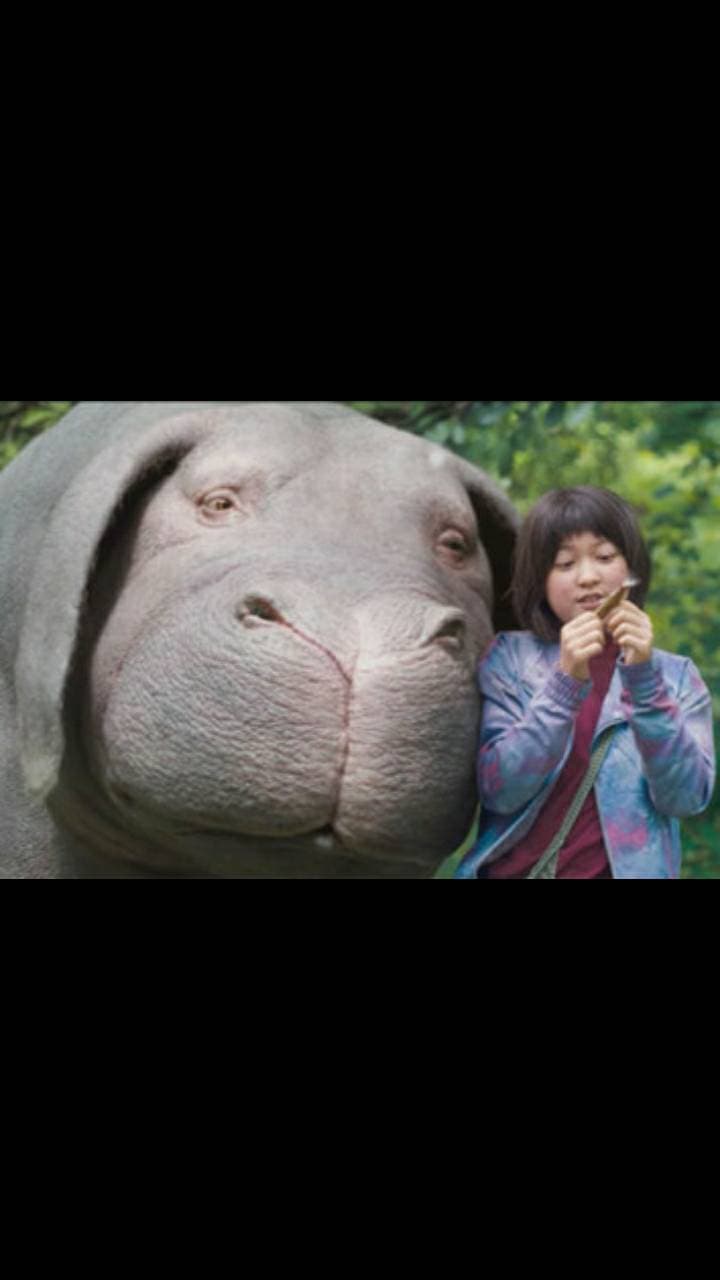 Película Okja