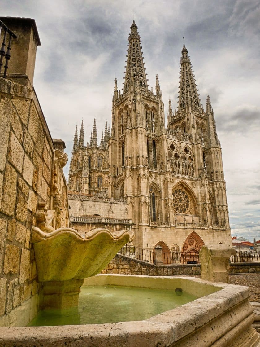 Place Catedral de Burgos