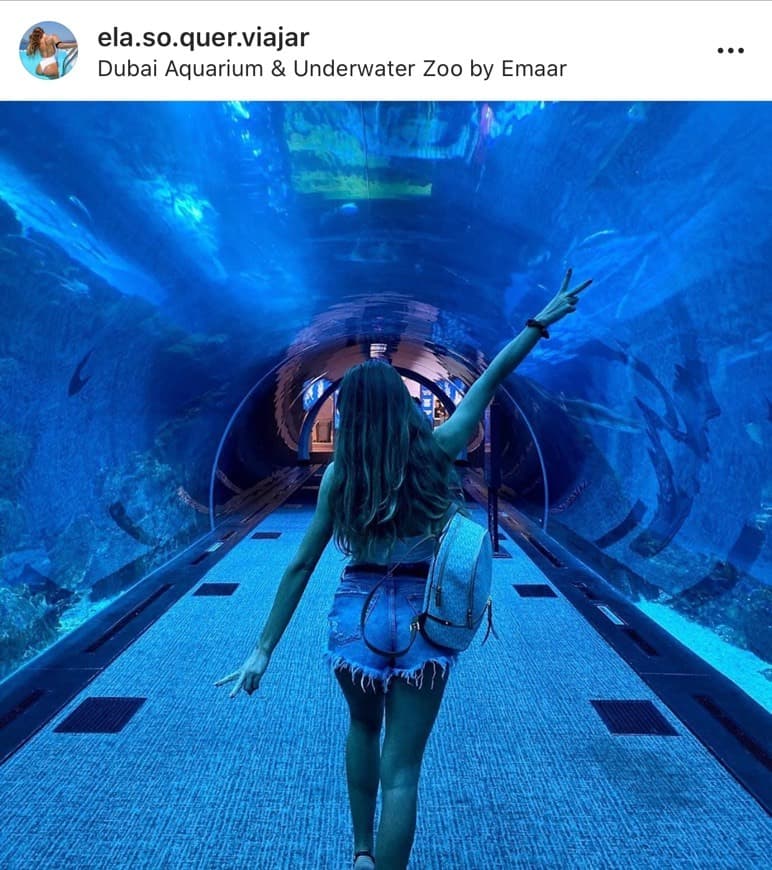 Place Dubai Aquarium & Underwater Zoo