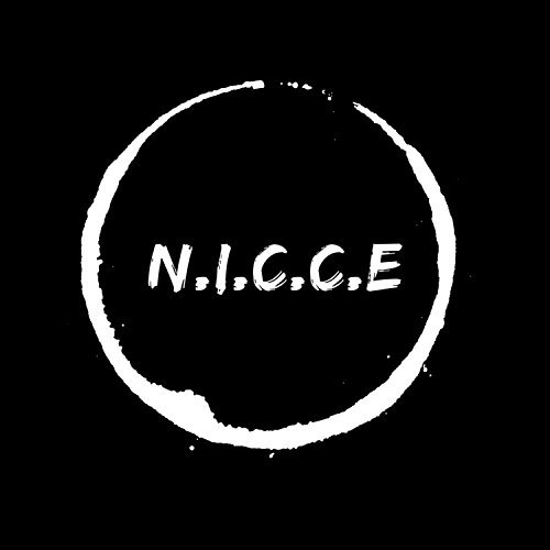 Place N.I.C.C.E