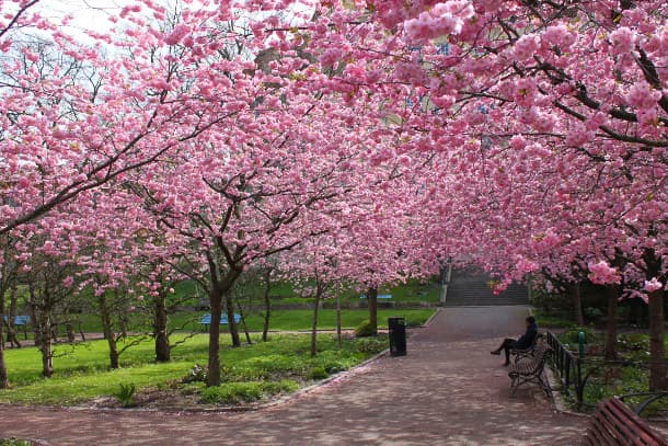 Place Parque do Carmo