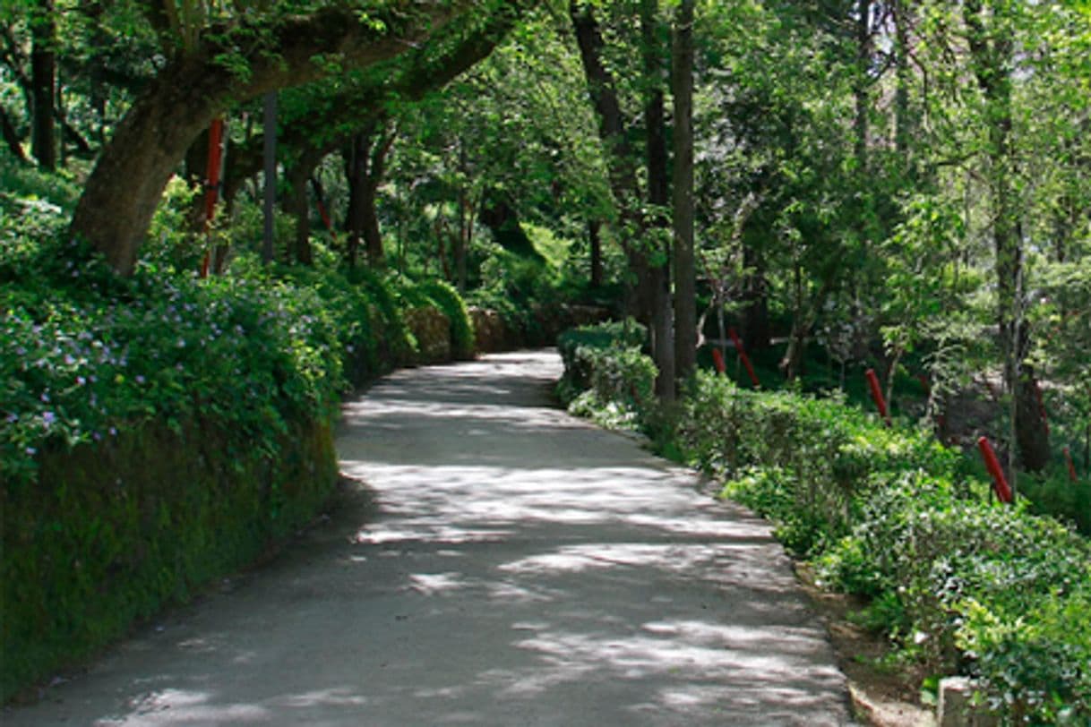 Lugar Parque Venâncio Ribeiro da Costa