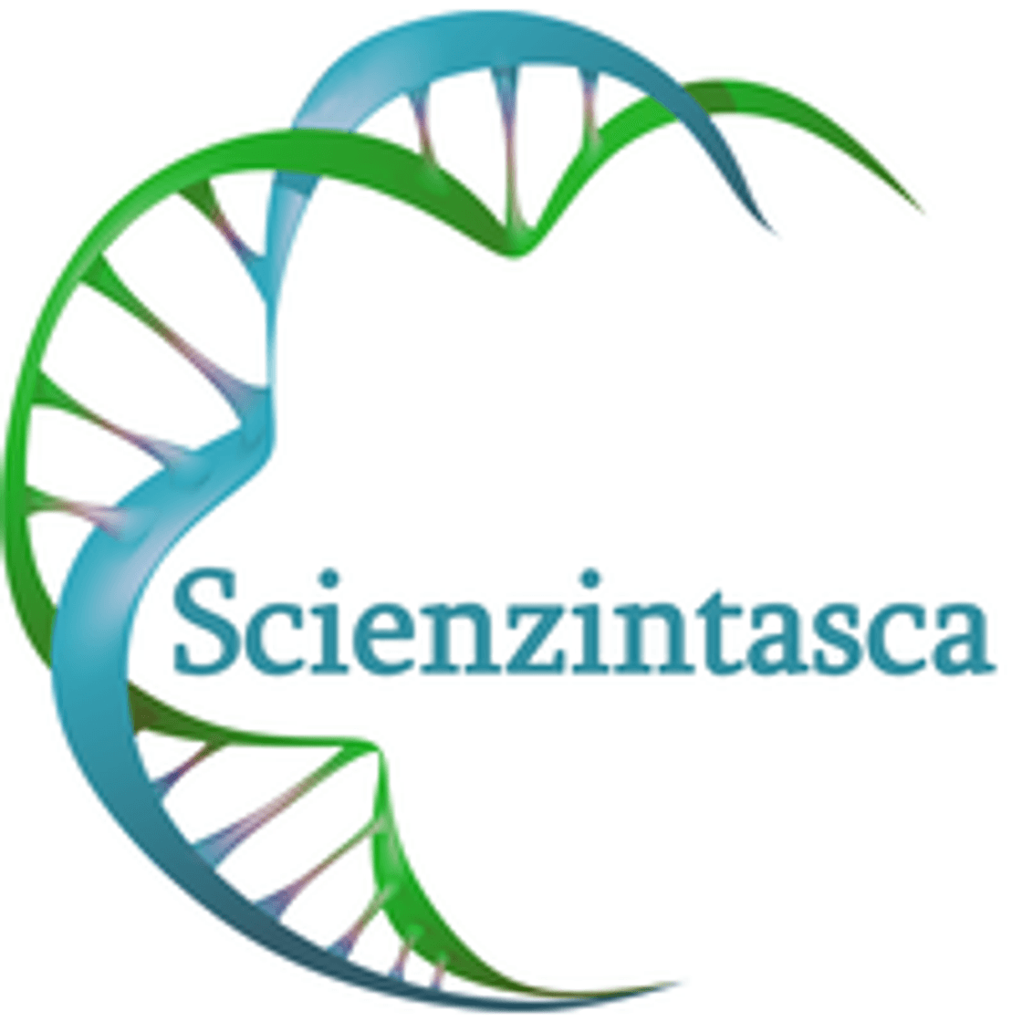 Moda Scienzintasca | LinkedIn