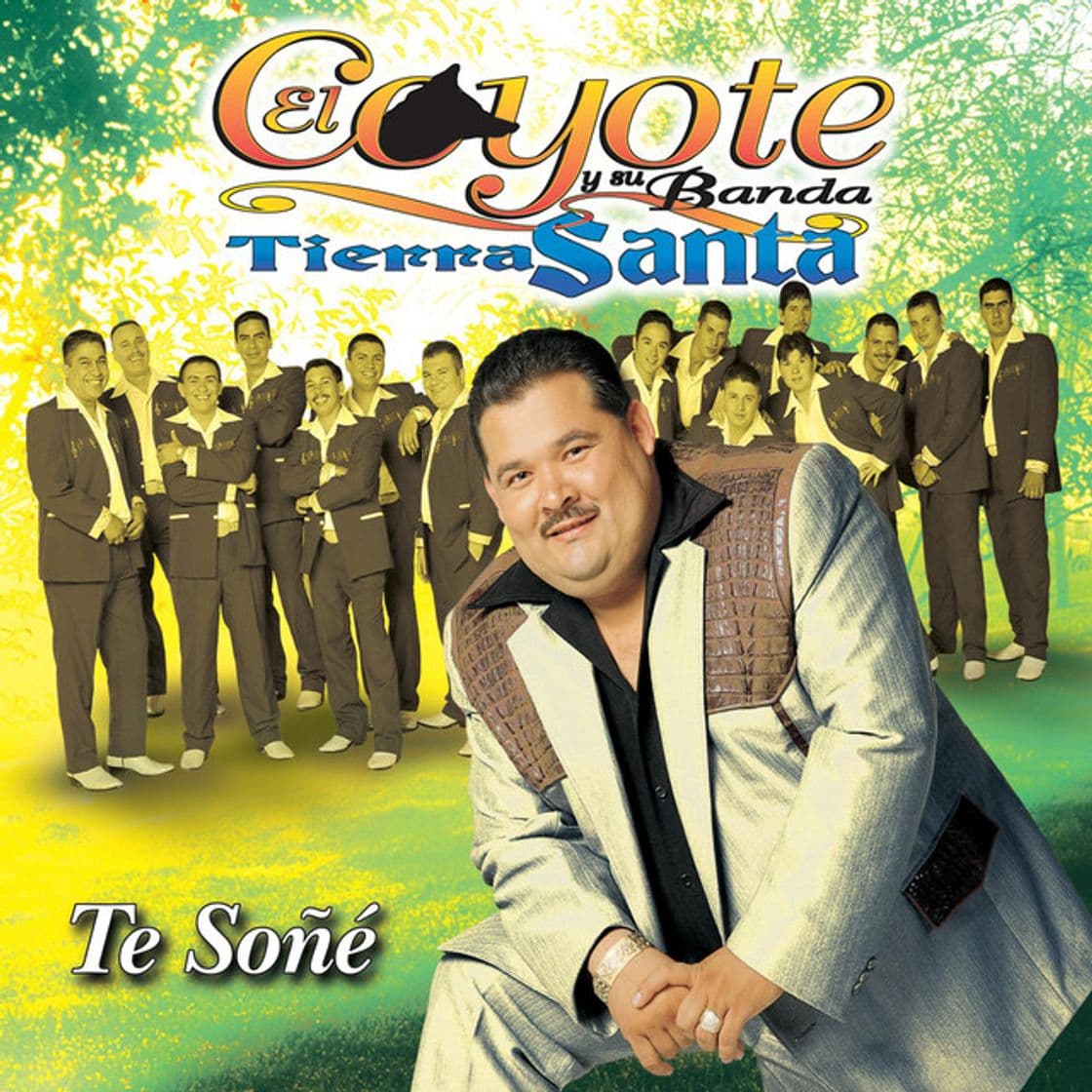 Canción Te Soñé